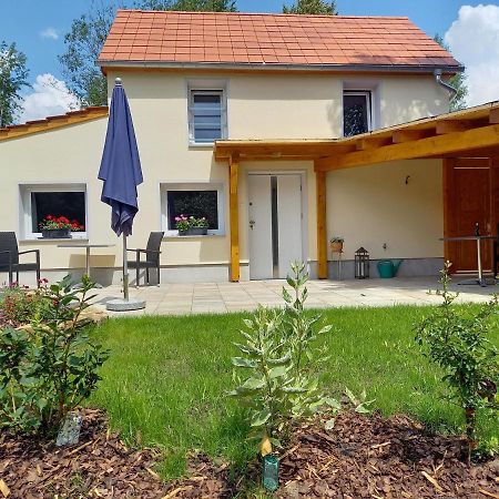 Ferienhaus Richtermuehle 赛博尼茨 外观 照片