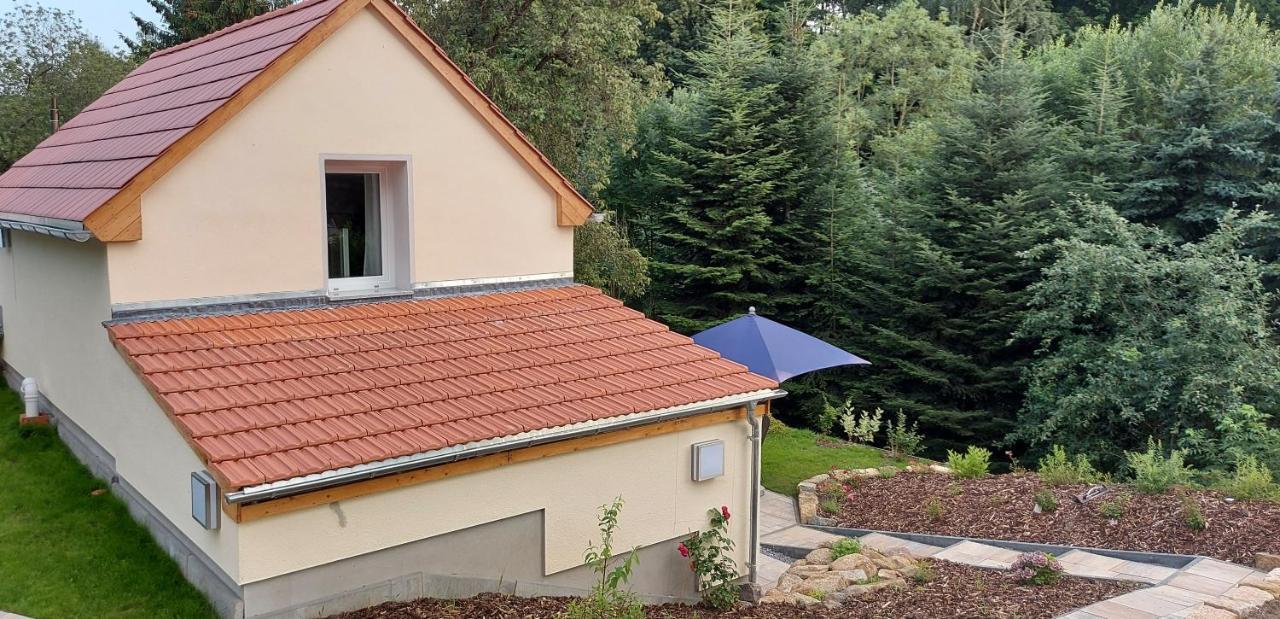 Ferienhaus Richtermuehle 赛博尼茨 外观 照片