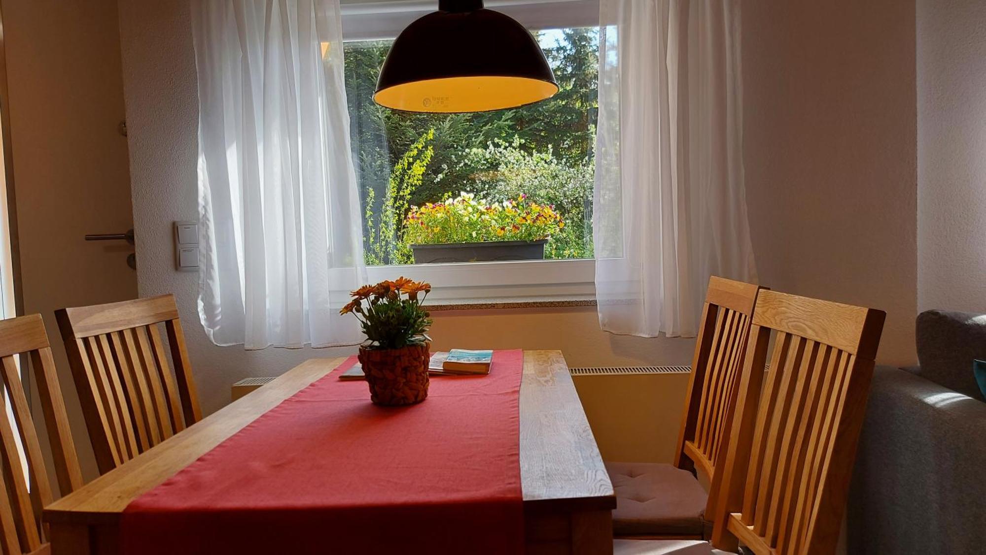 Ferienhaus Richtermuehle 赛博尼茨 外观 照片